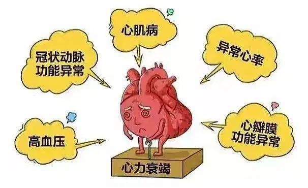 北京卓越未来国际医药科技发展有限公司